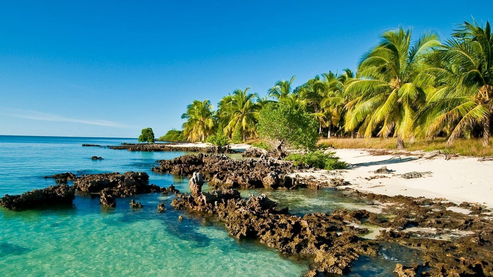 Thumbnail for Mozambique tourism faces challenges amid political unrest