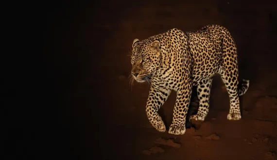 Thumbnail for Starbucks reports 2% revenue growth in Q2 FY2025, reaching US$8.8B