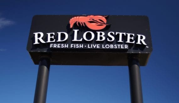 Thumbnail for Canopy by Hilton opens first South African hotel in Cape Town’s historic Longkloof District